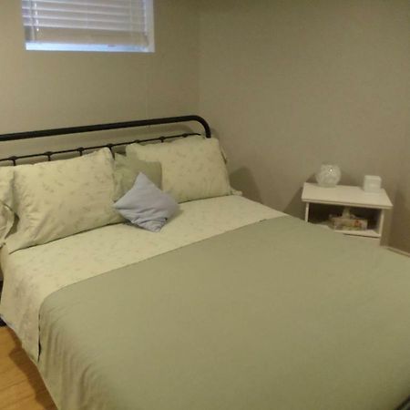 Fantastic And Modern Downtown 1-Bed Basement Apt., Parking Wi-Fi And Netflix Included Ottawa Kültér fotó