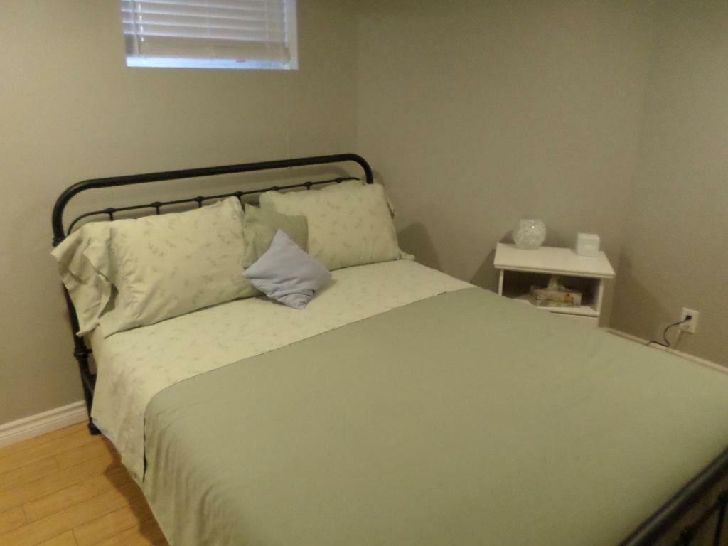 Fantastic And Modern Downtown 1-Bed Basement Apt., Parking Wi-Fi And Netflix Included Ottawa Kültér fotó