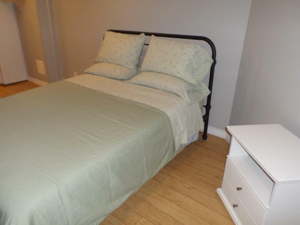 Fantastic And Modern Downtown 1-Bed Basement Apt., Parking Wi-Fi And Netflix Included Ottawa Kültér fotó